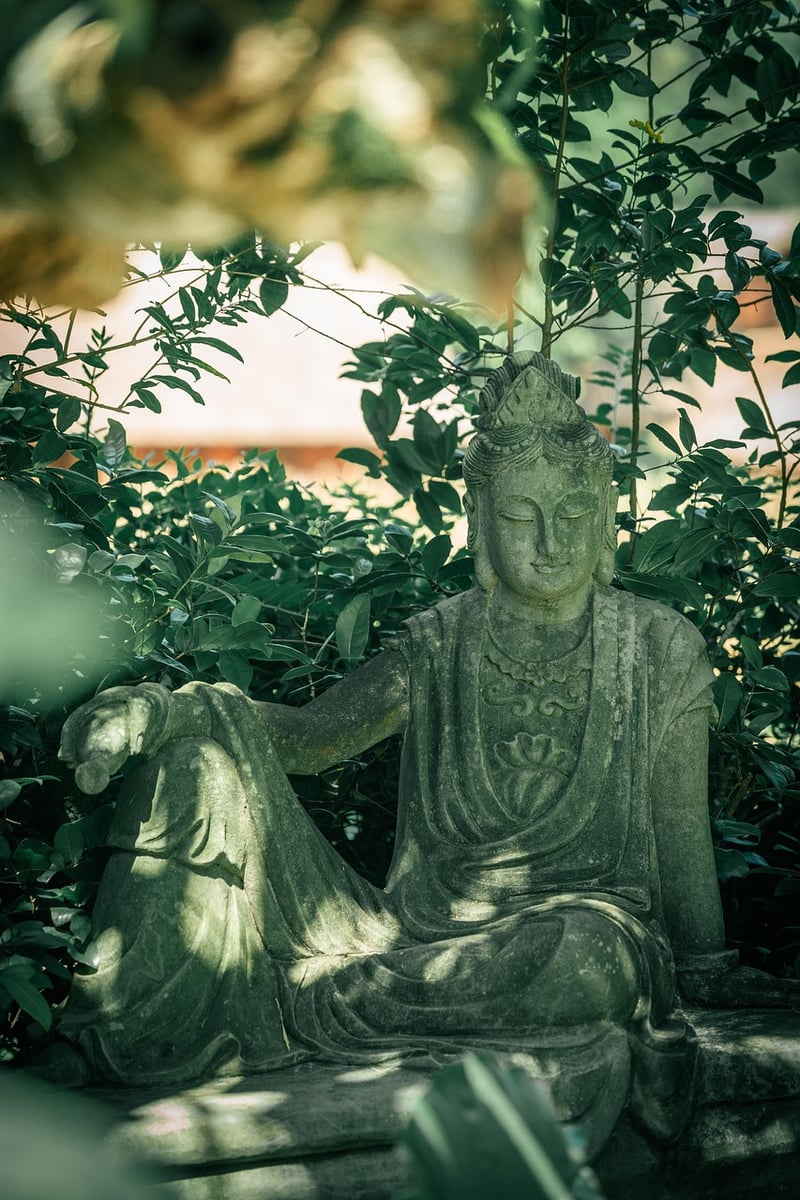 Serene Garden