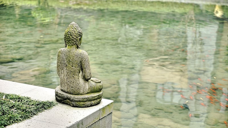 Zen Stones Pond